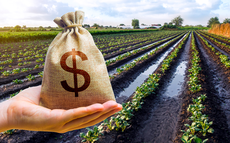 Como mensurar o valor justo de ativos do agronegócio?
